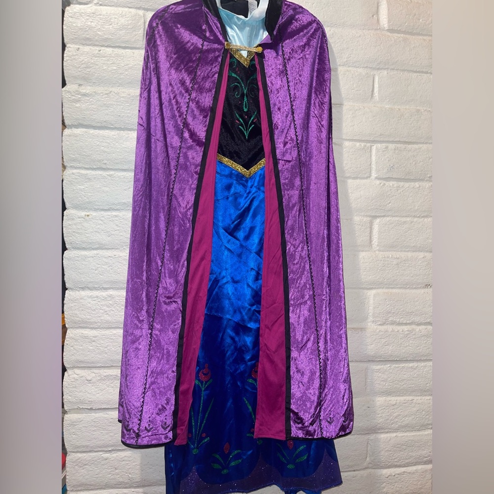 Disney Frozen Adult Costume Set